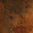 Craig & Rose Artisan Rust Effect Decorative Paint