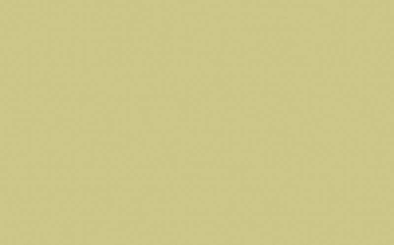 Little Greene Distemper