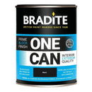 Bradite One Can Primer/Finish - Eggshell OC64 Black RAL 9005