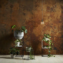 Craig & Rose Artisan Rust Effect Decorative Paint - Buy Paint Online