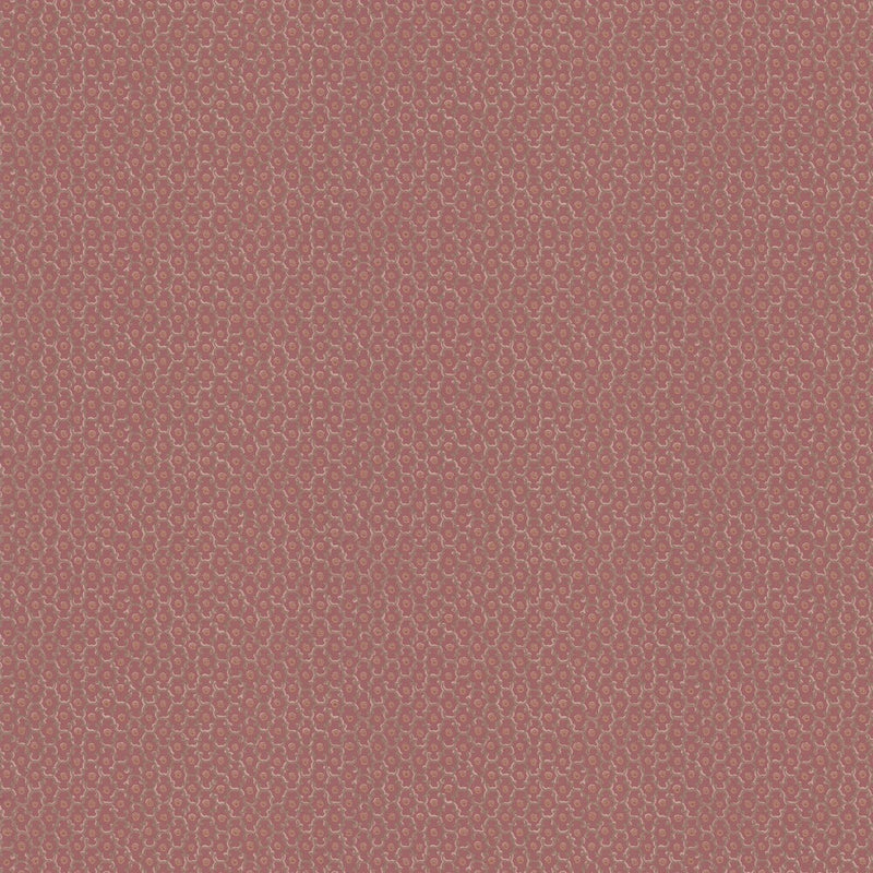 Little Greene National Trust Papers II - Moy